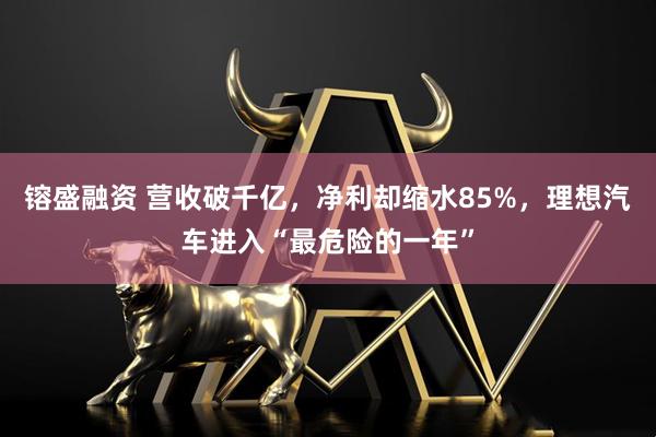镕盛融资 营收破千亿，净利却缩水85%，理想汽车进入“最危险的一年”