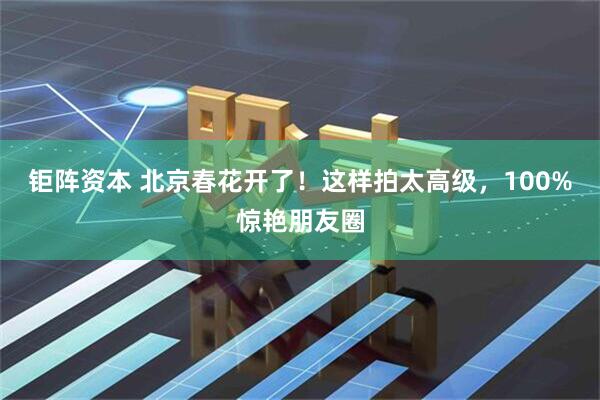 钜阵资本 北京春花开了！这样拍太高级，100%惊艳朋友圈