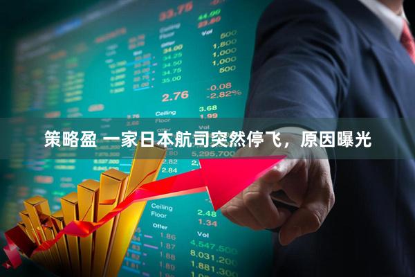 策略盈 一家日本航司突然停飞，原因曝光