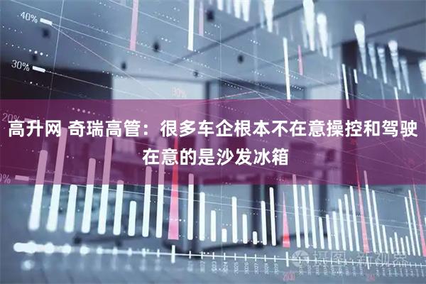 高升网 奇瑞高管：很多车企根本不在意操控和驾驶 在意的是沙发冰箱