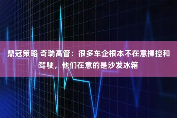 鼎冠策略 奇瑞高管：很多车企根本不在意操控和驾驶，他们在意的是沙发冰箱