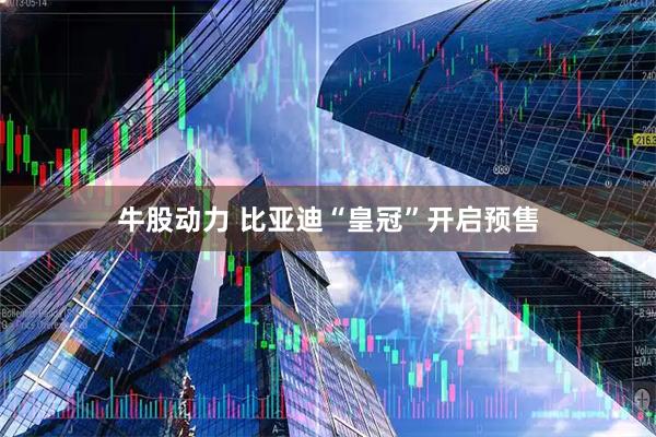 牛股动力 比亚迪“皇冠”开启预售