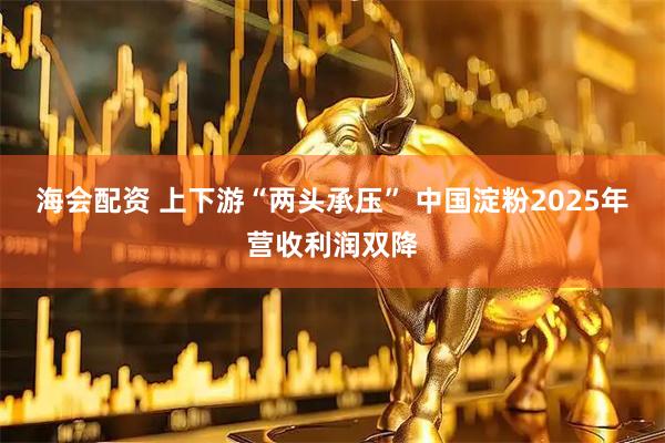 海会配资 上下游“两头承压” 中国淀粉2025年营收利润双降