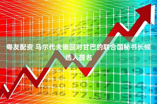 粤友配资 马尔代夫撤回对甘巴的联合国秘书长候选人提名